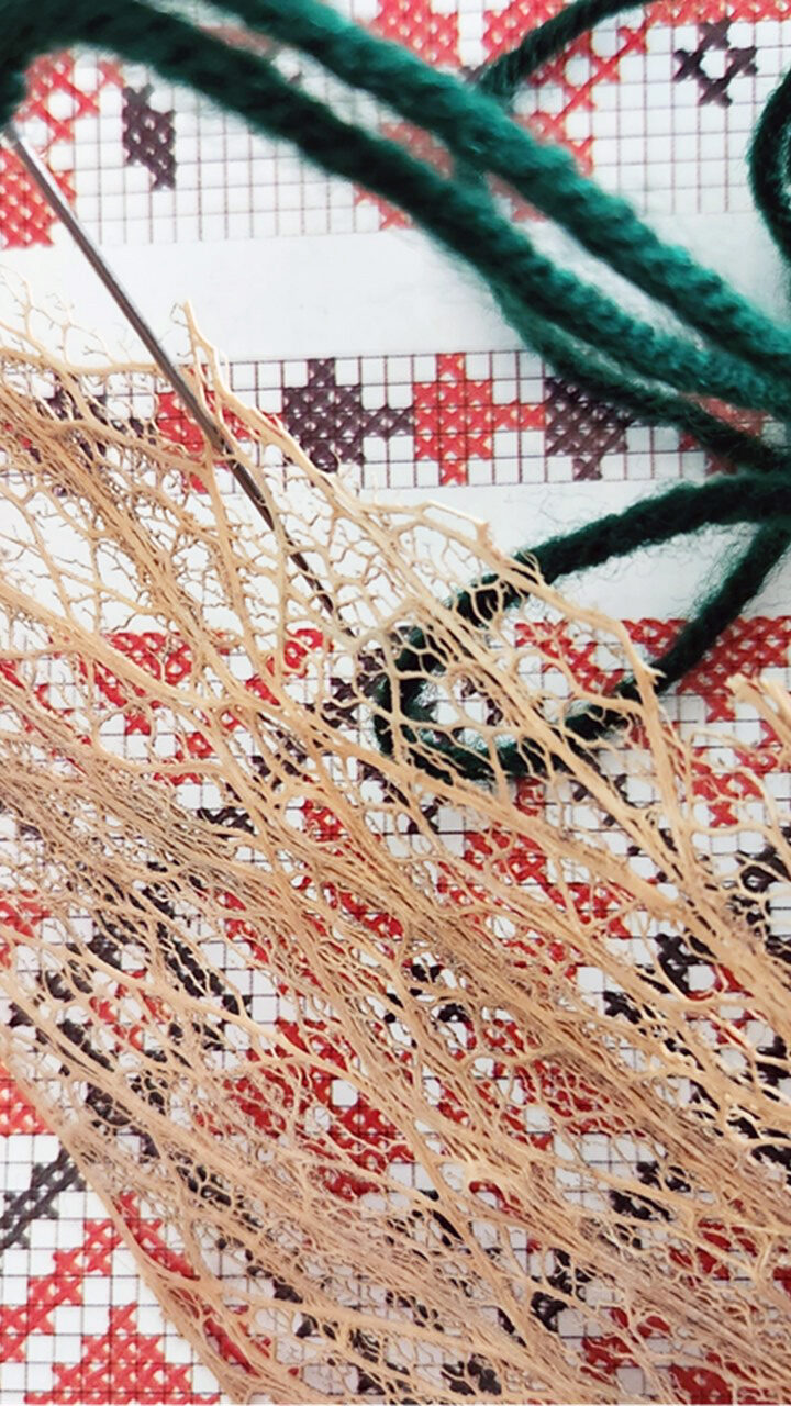 The dried veins of a cactus plant rest against a Palestinian Tatriz embroidery pattern in red and black. A needle with green thread rests in the cactus, at the top of the frame.